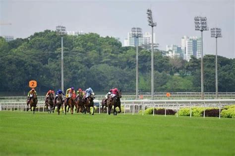 singapore horse racing forum|Forum: Address concerns over Singapore Turf Club’s closure.
